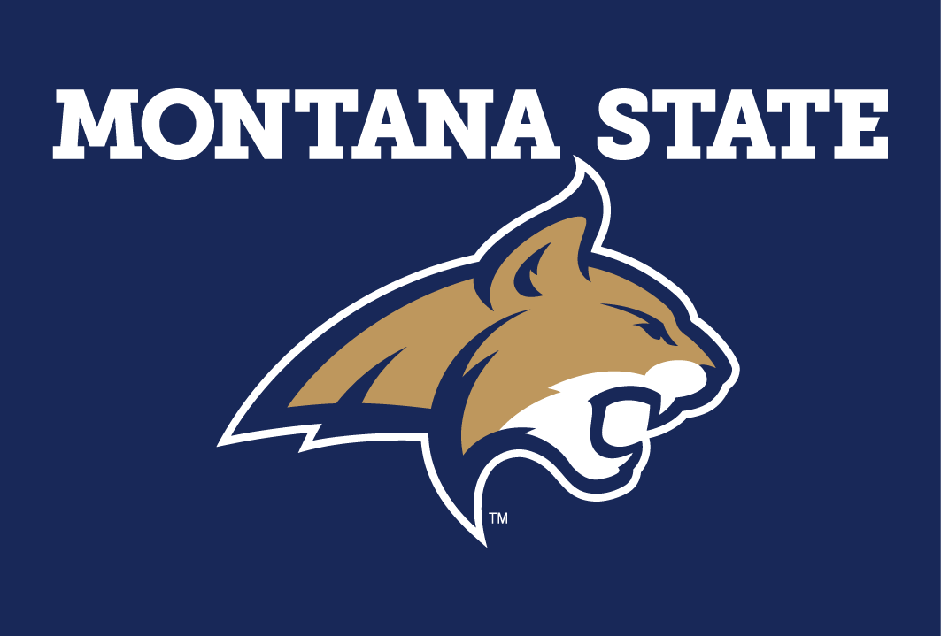 Montana State Bobcats 2013-Pres Alternate Logo 07 iron on paper